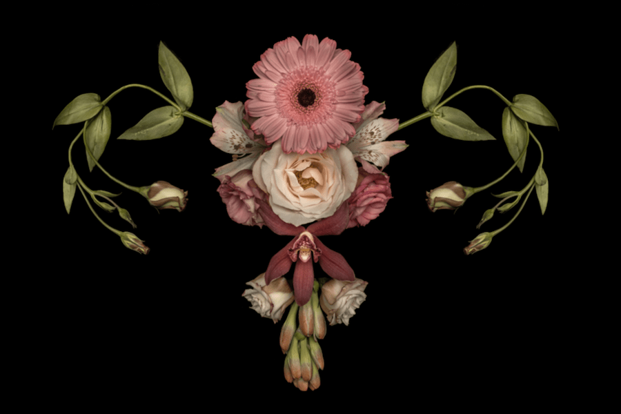 Útero de flores. © Catharina Suleiman.